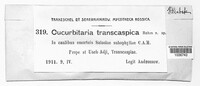 Cucurbitaria transcaspica image